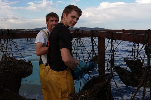 Excursion Sète - Journée Visite de Sète, Huîtres et Vin - Bonjour Fun