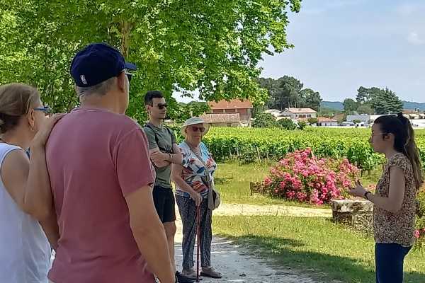 Excursion vignoble de Bordeaux hors des sentiers battus - Bonjour Fun