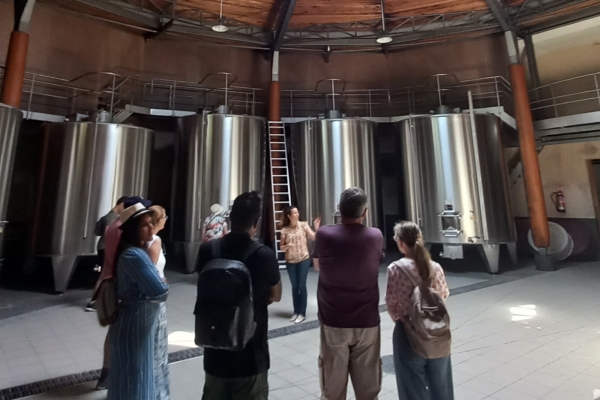 Excursion vignoble de Bordeaux hors des sentiers battus - Bonjour Fun