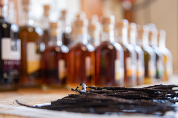 Expérience dégustative et olfactive - Bonjour Fun