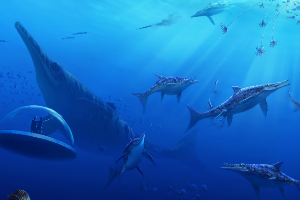 Exposition en réalité virtuelle, Les  Mondes Disparus - Bonjour Fun