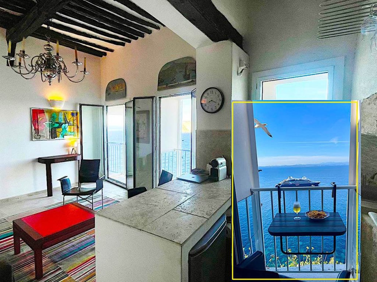 Fleur de Falaise - Bonjour Fun