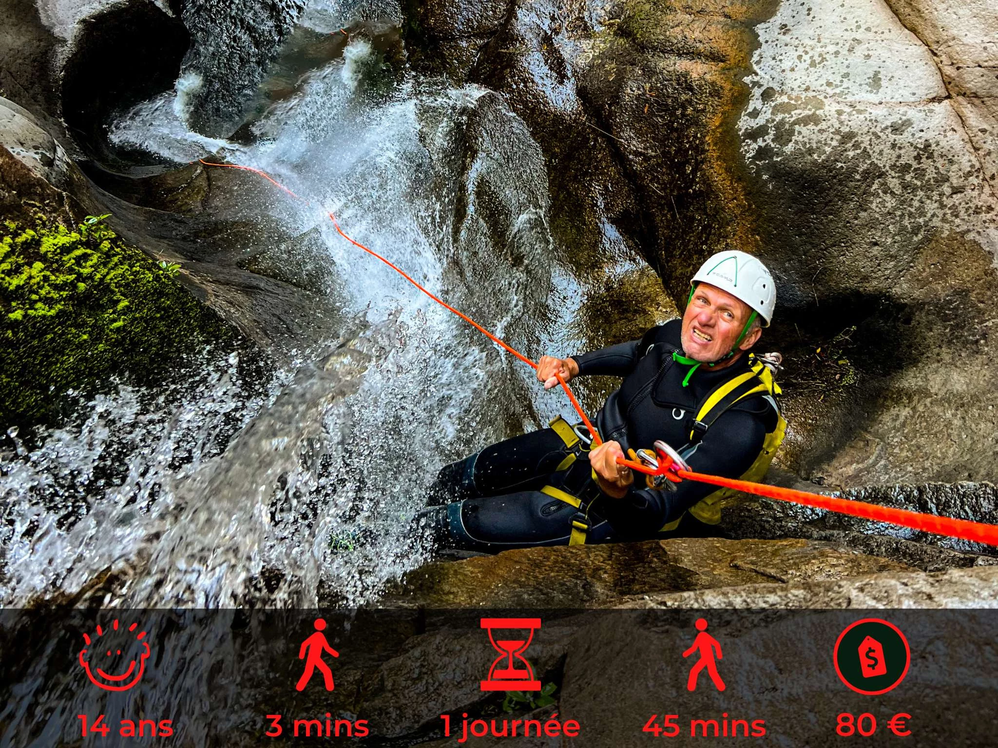 Fleur Jaune - Bonjour Fun