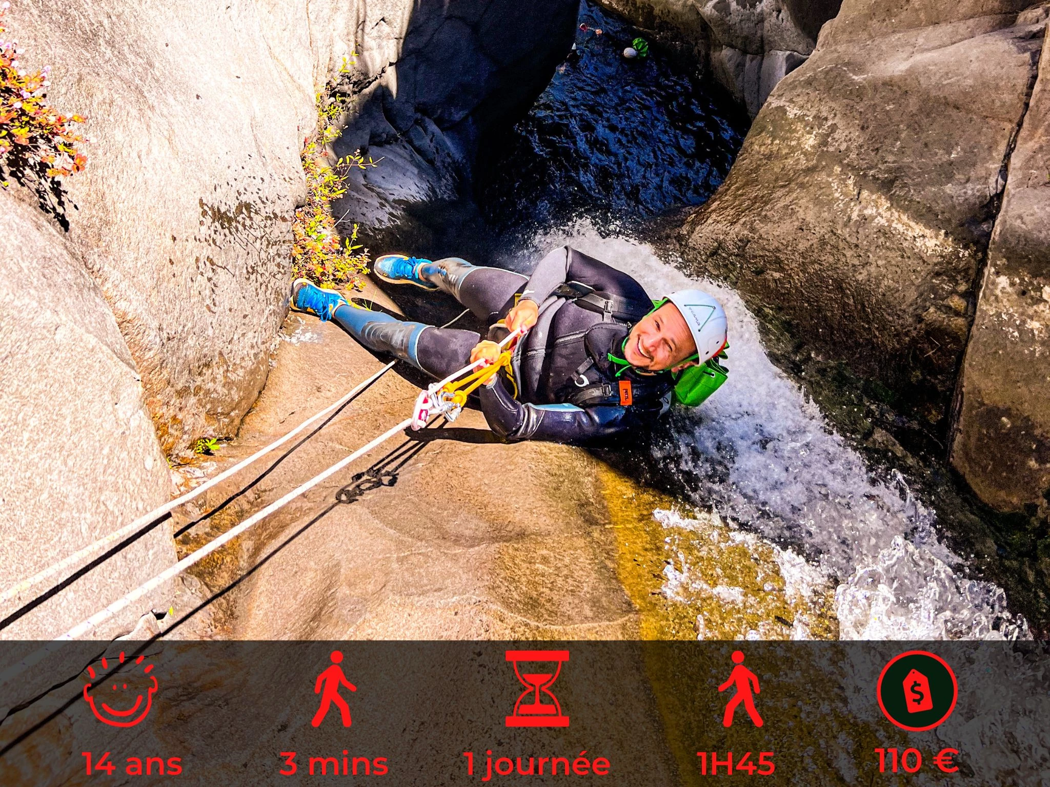 Fleur Jaune intégral - Bonjour Fun