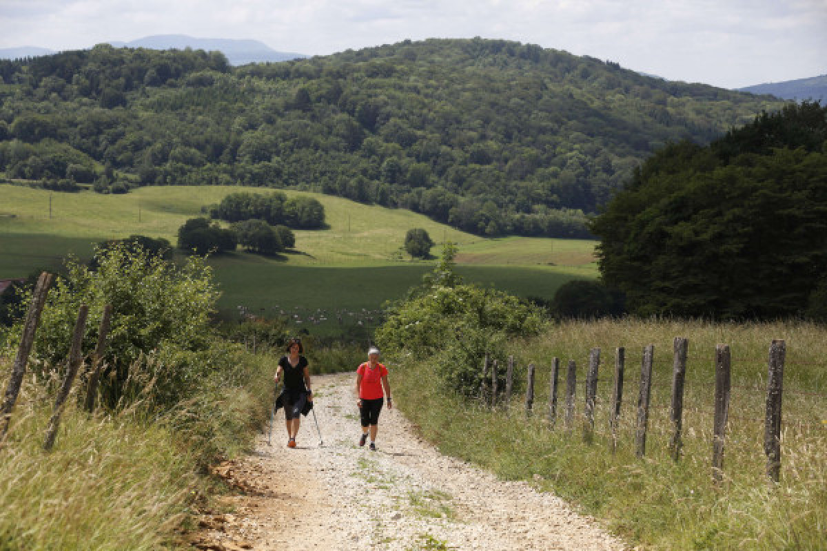 FONTAIN, randonnée Visite - Bonjour Fun