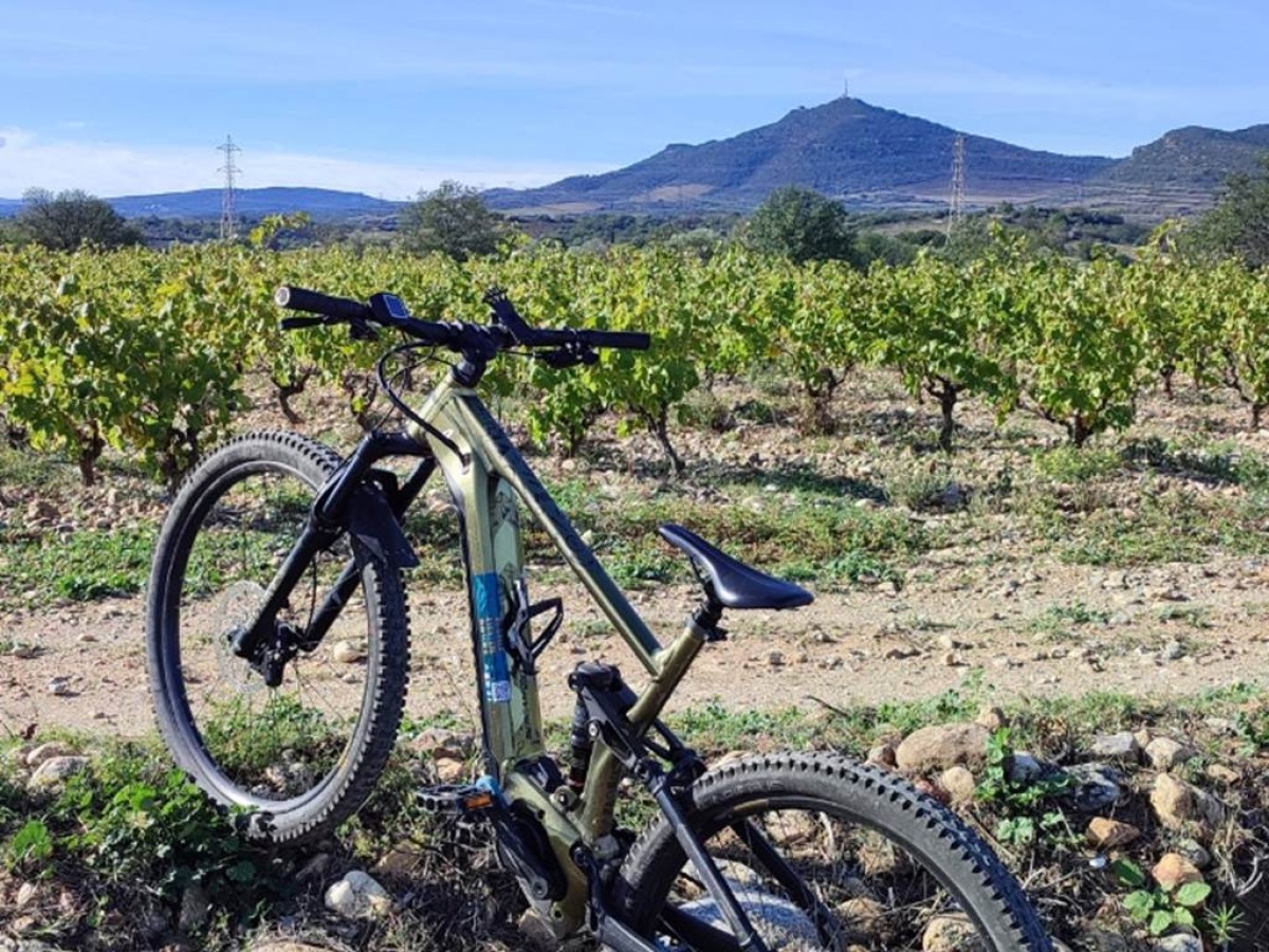 Força Réal découverte VTTAE - Bonjour Fun