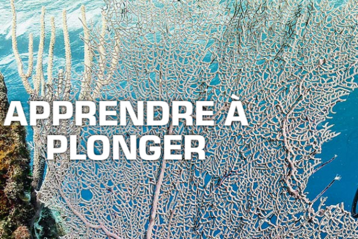 Formation Débutant plongée Niveau 1 - Fréjus - Bonjour Fun