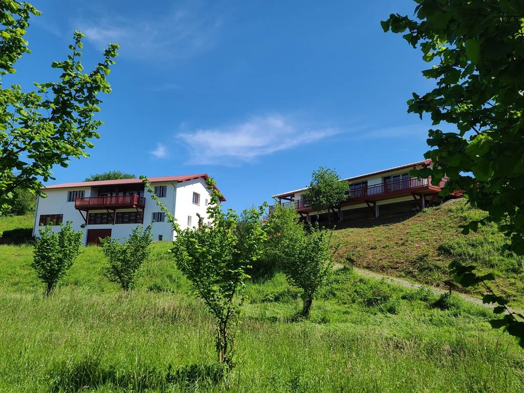 Formation "planter des noisetiers" - Bonjour Fun