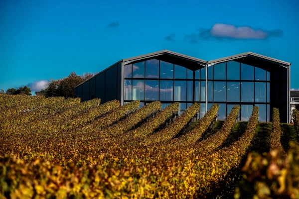 From the soil to the glass - Bonjour Fun