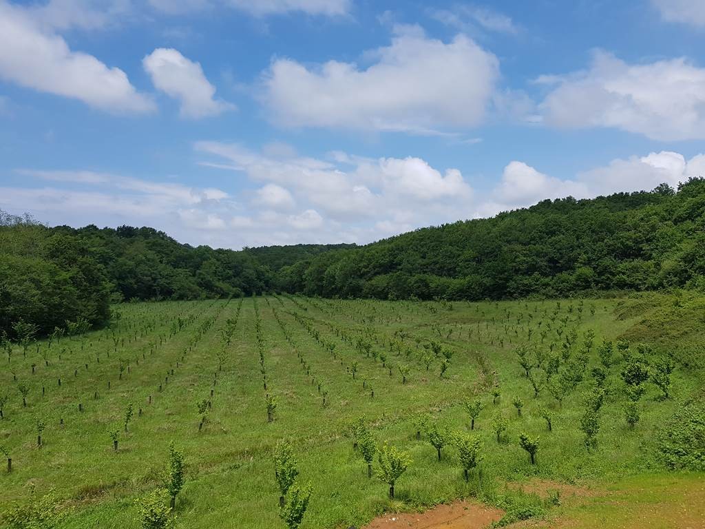 Groupes associatifs et autres groupes - Bonjour Fun