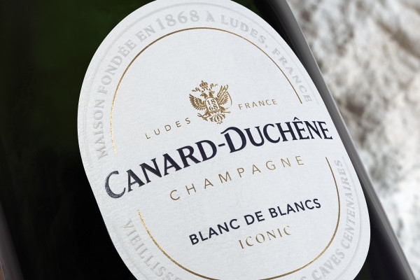 Guided Tour & Iconic Tasting - Bonjour Fun