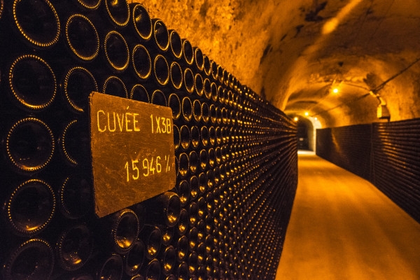 Guided Tour & Léonie Tasting - Bonjour Fun