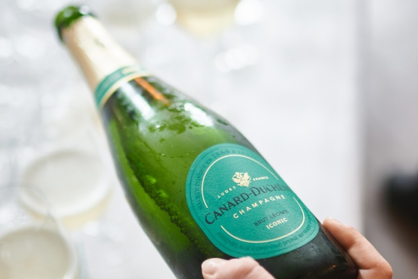 Guided Tour & Léonie Tasting - Bonjour Fun