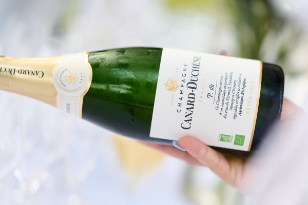 Guided Tour & Léonie Tasting - Bonjour Fun