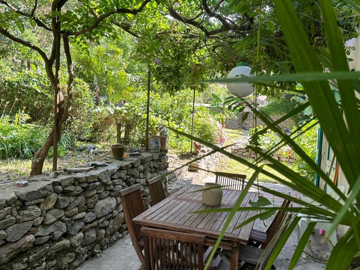 Hacienda Shaktipat - Bonjour Fun