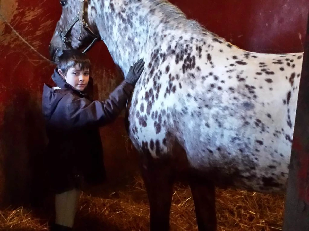 HEBERGEMENT PRE CHEVAL (pratique equitation) / JOUR ou au mois - Bonjour Fun
