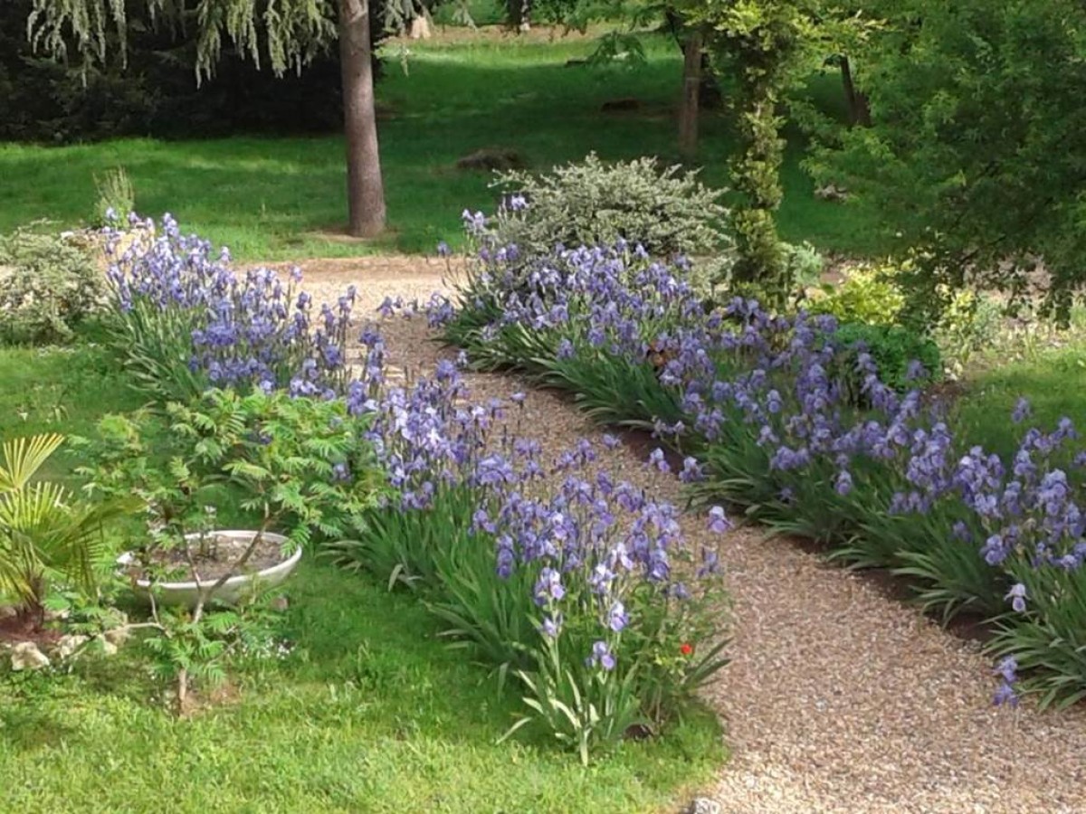 Hostellerie le Clos du Cher - Bonjour Fun