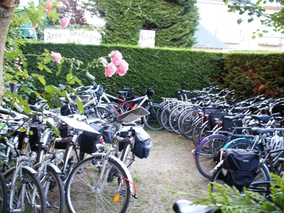 Hotel Anne De Bretagne BLOIS - Bonjour Fun