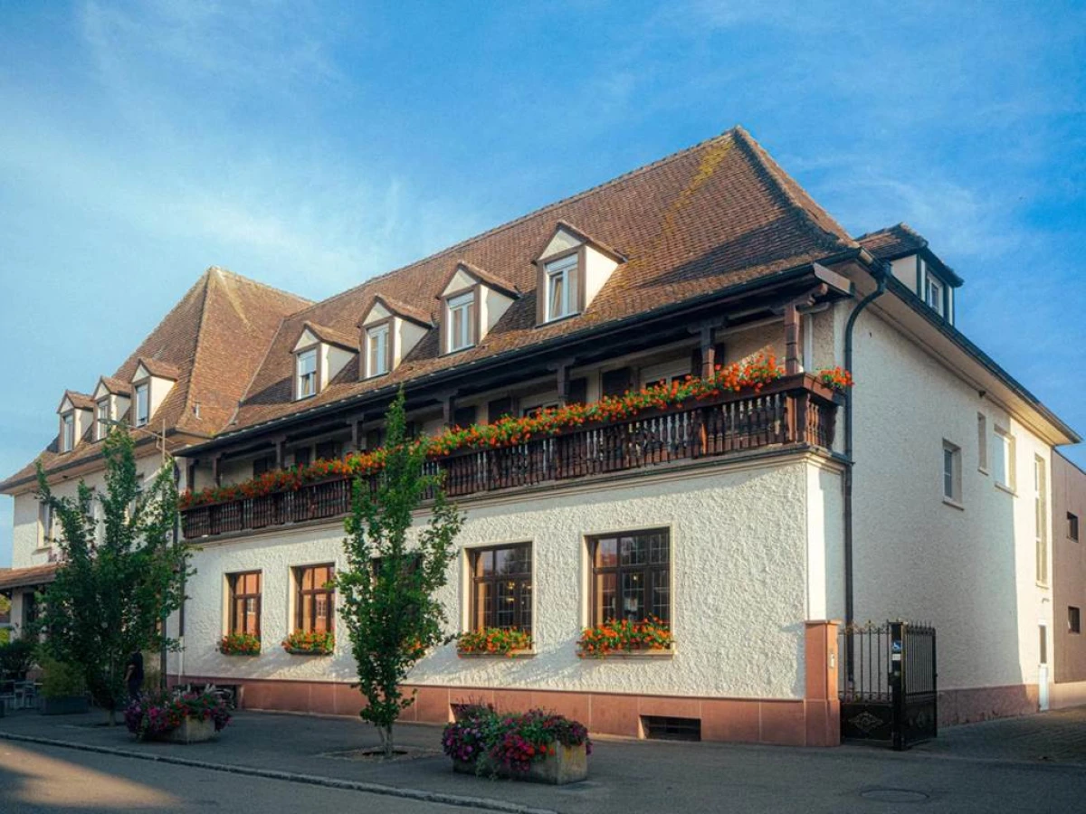 Hotel Au Nid De Cigognes - Bonjour Fun