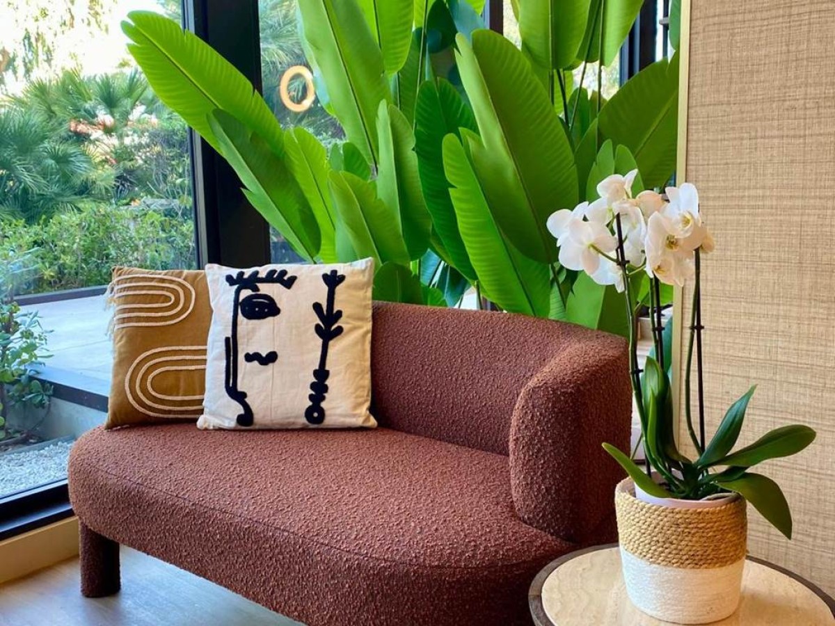 Hôtel Bahia - Bonjour Fun