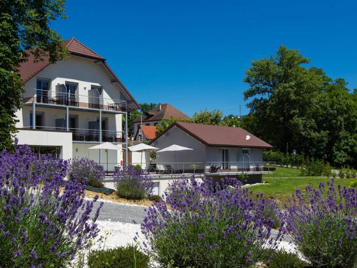Hotel Blanc - Bonjour Fun