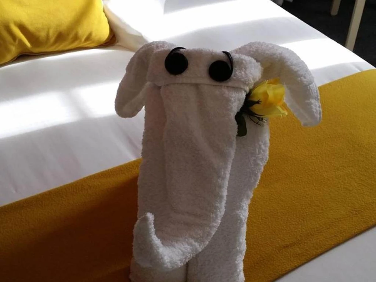 Hotel de France Citotel - Bonjour Fun