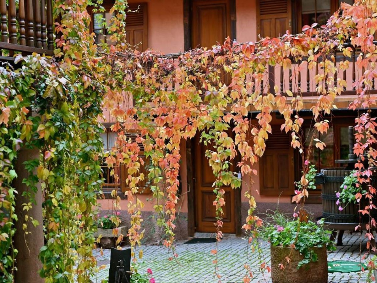 Hôtel de l'Ange - Bonjour Fun