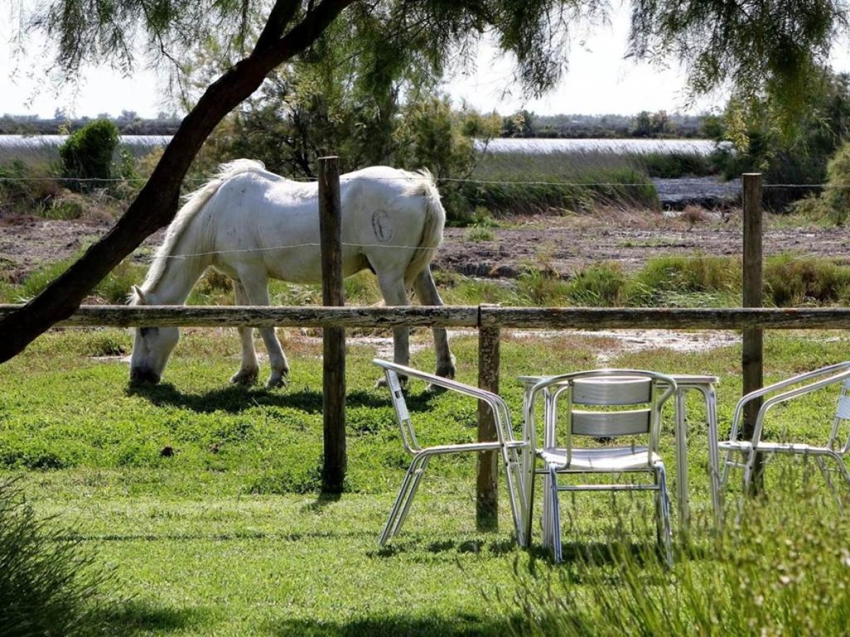 Hôtel La Palunette - Bonjour Fun