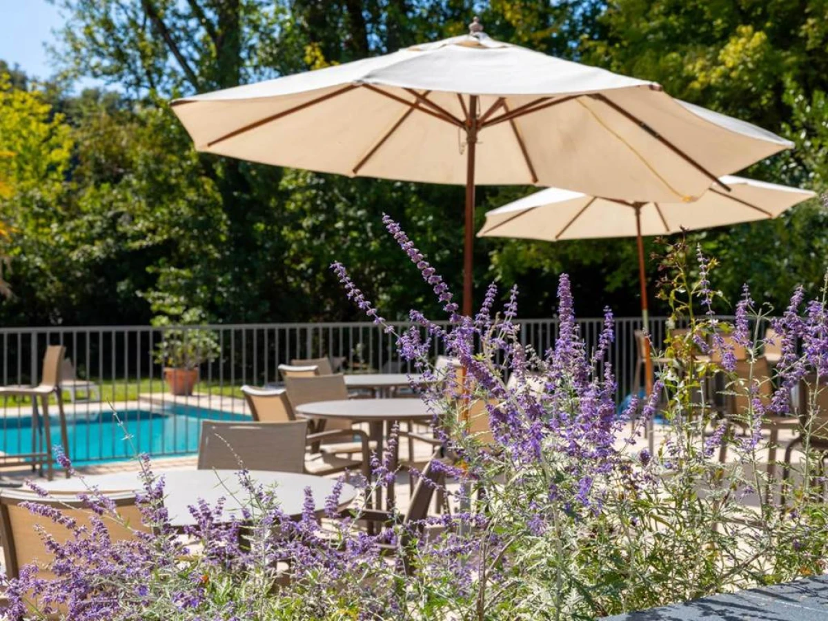 Hôtel La Ségalière Spa Bar - Bonjour Fun