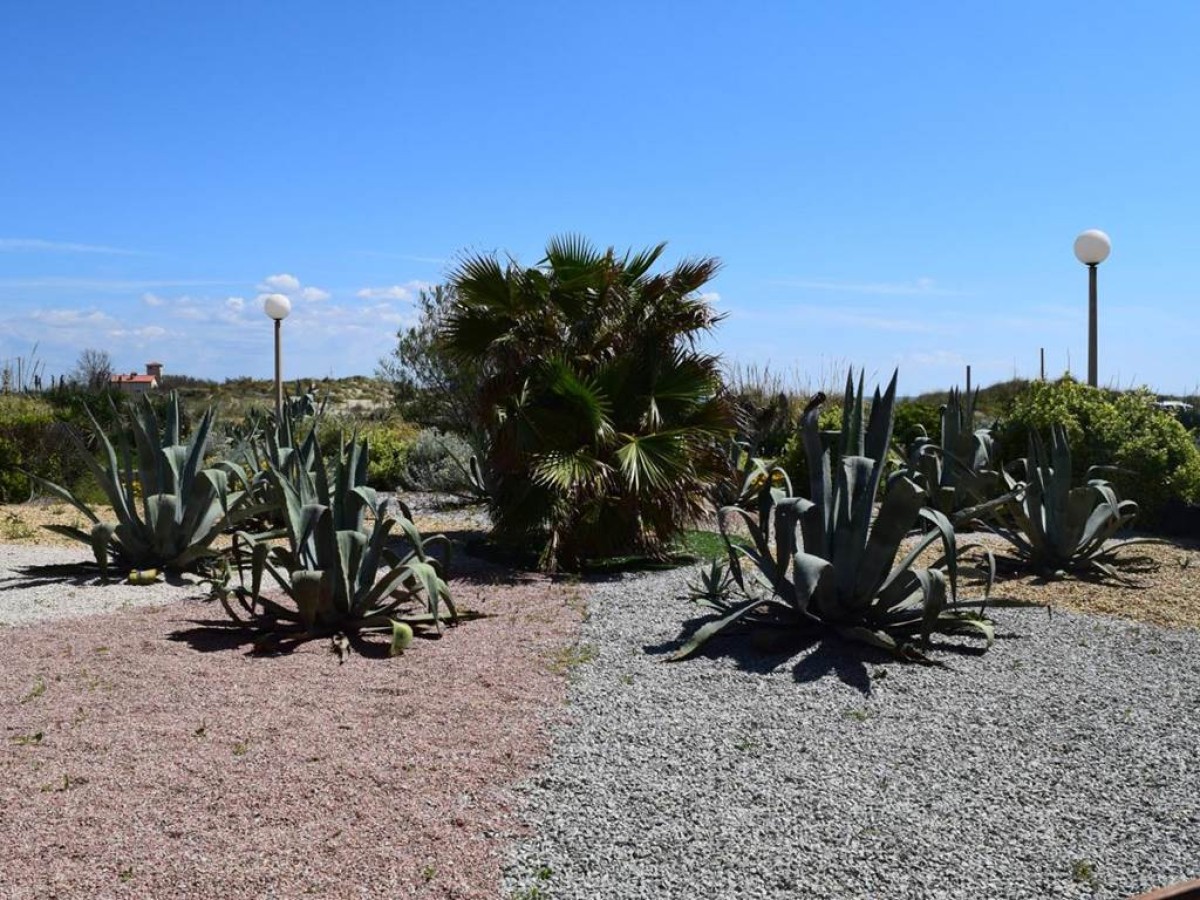 Hotel Les Dunes - Bonjour Fun