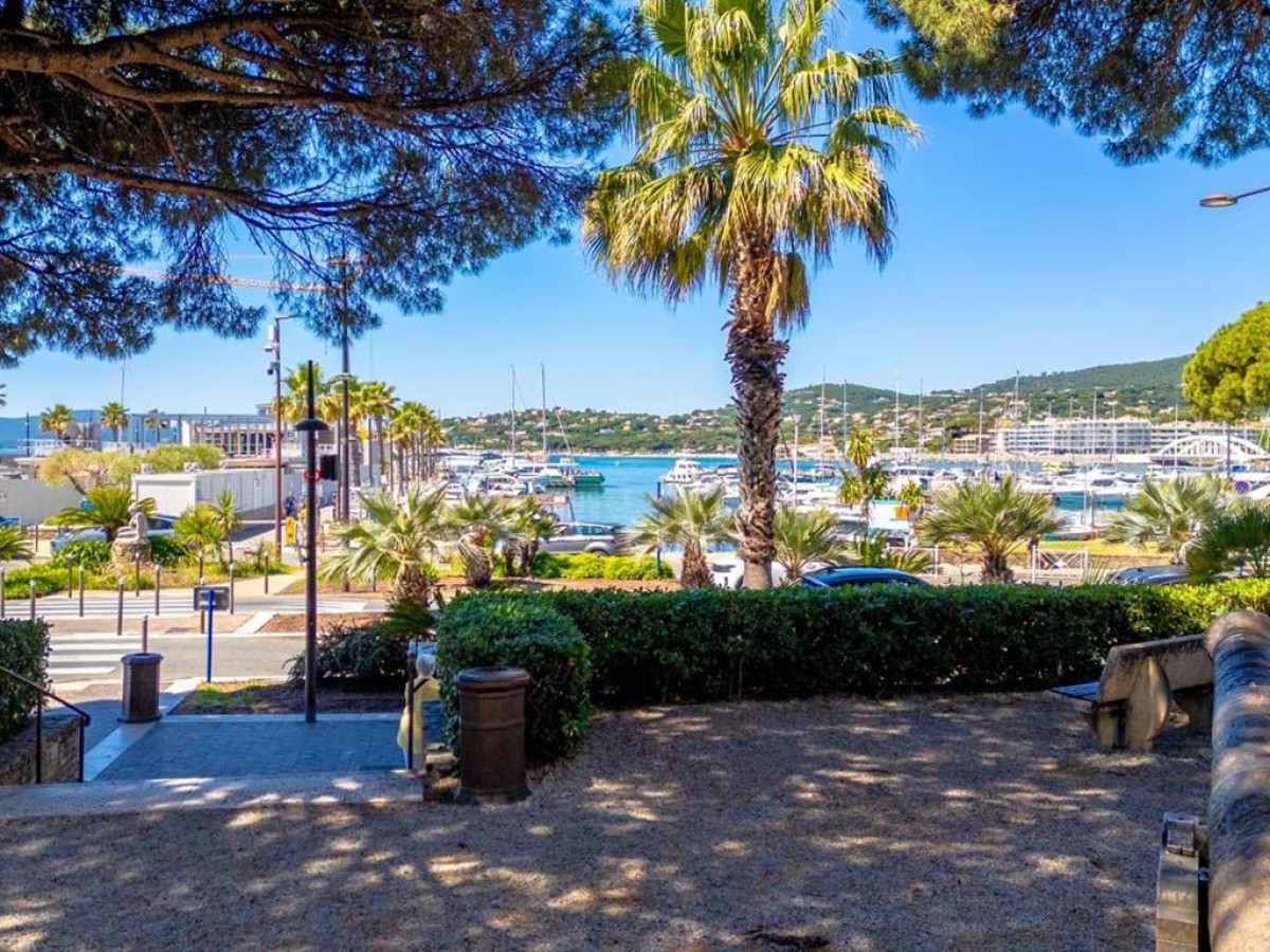 Hotel Les Palmiers - Bonjour Fun