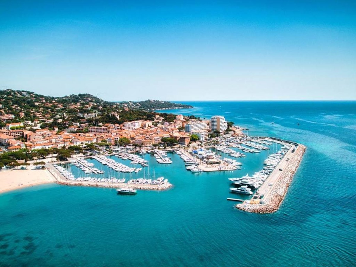 Hotel Les Palmiers - Bonjour Fun