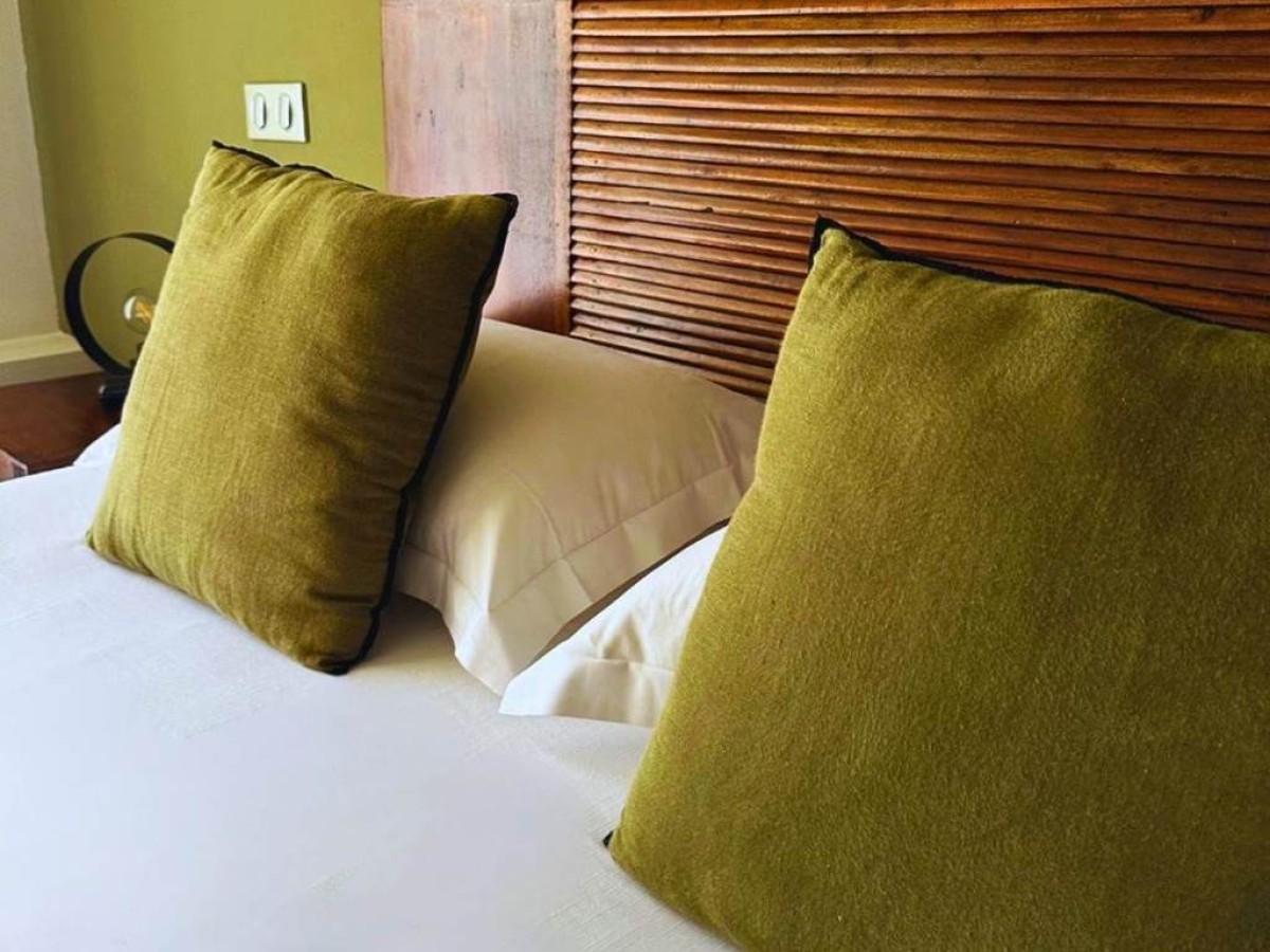 Hôtel Pineto - Bonjour Fun