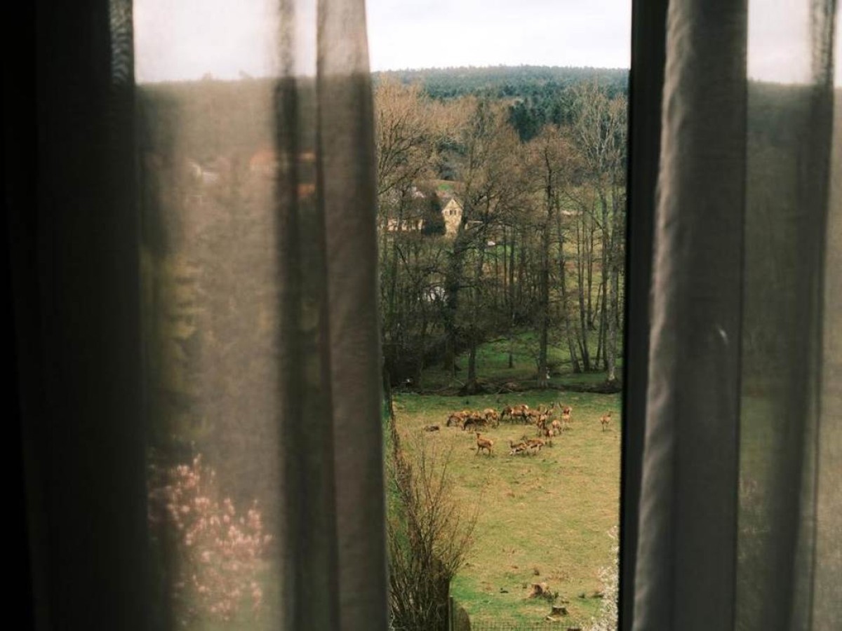 Hotel Restaurant des Vosges - Bonjour Fun