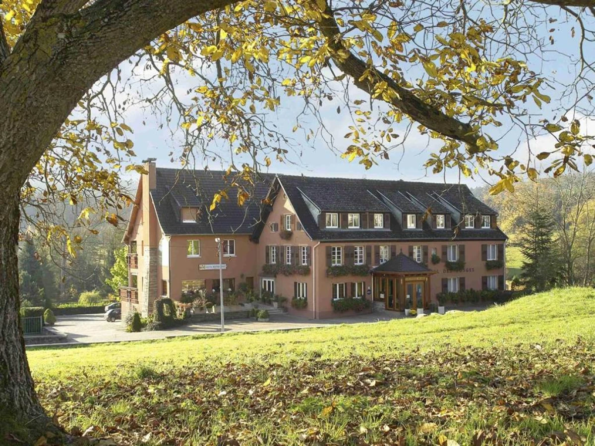 Hotel Restaurant des Vosges - Bonjour Fun