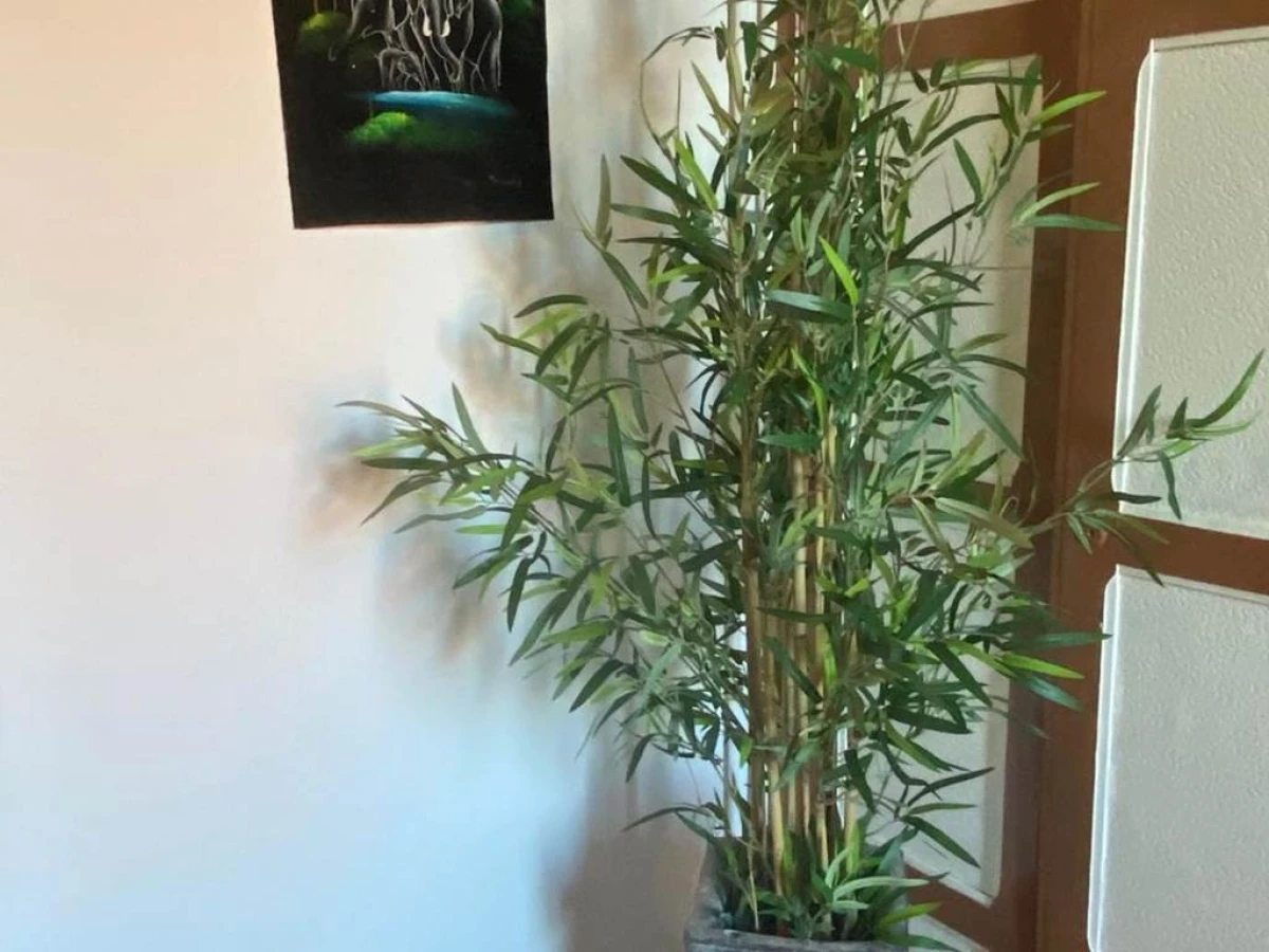 Hôtel & Restaurant ISVARA - Bonjour Fun