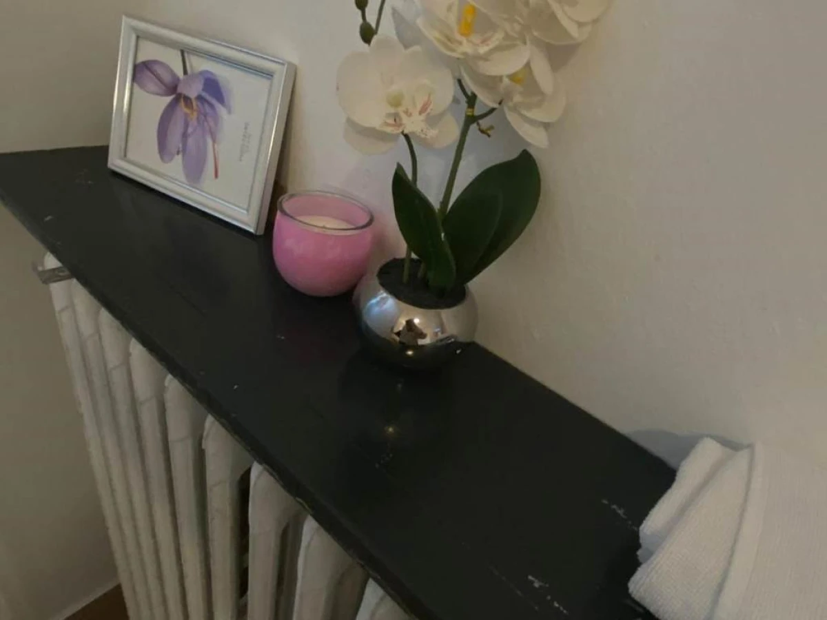 Hôtel & Restaurant ISVARA - Bonjour Fun