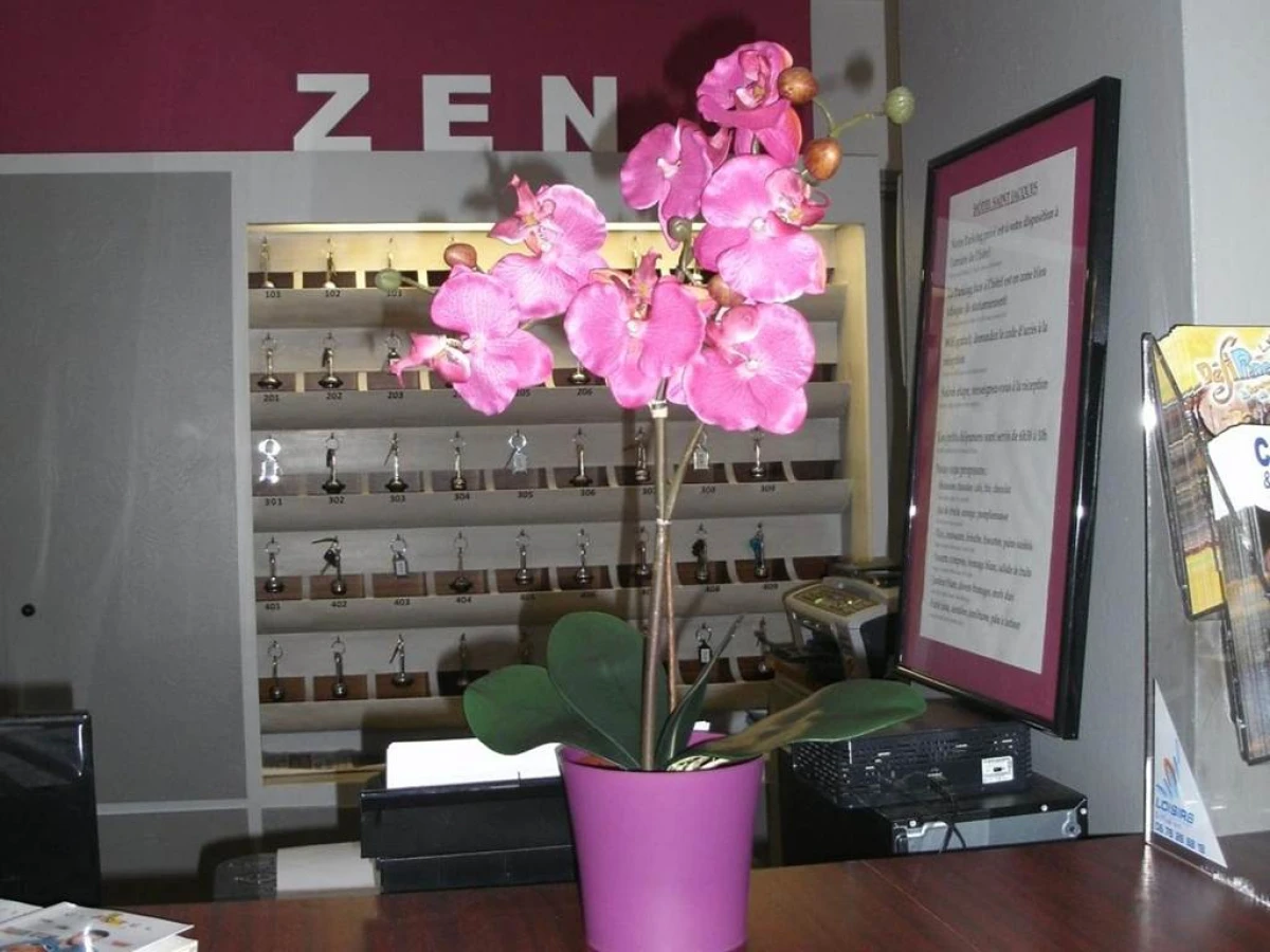 Hôtel Saint Jacques - Bonjour Fun