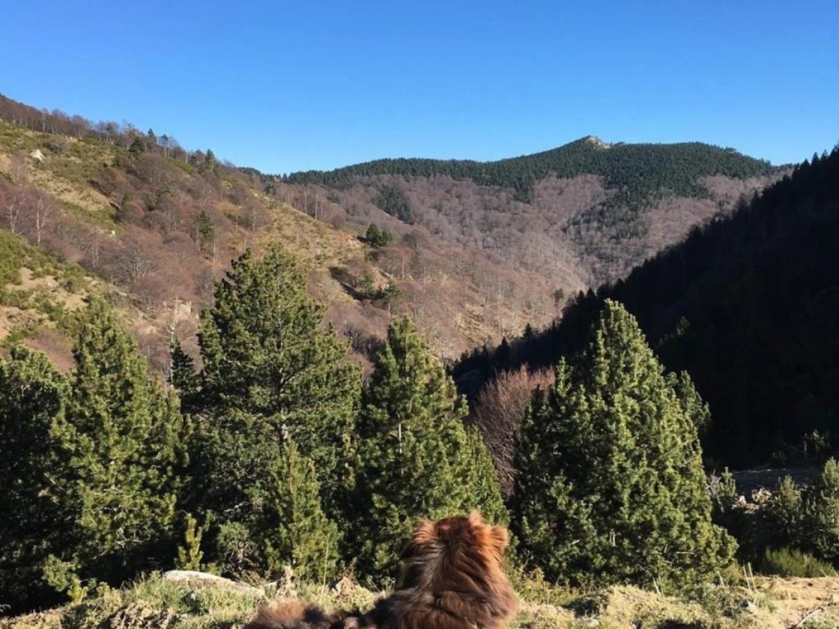Hôtel Val Du Tech - Bonjour Fun