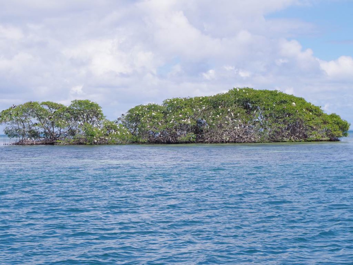 Ilet Caret demi-journée enfant TO - Bonjour Fun