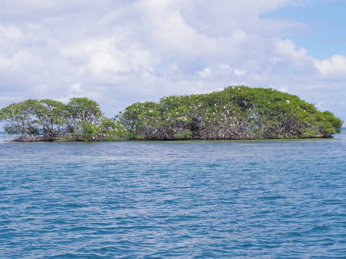 Ilet Caret journée adulte to - Bonjour Fun