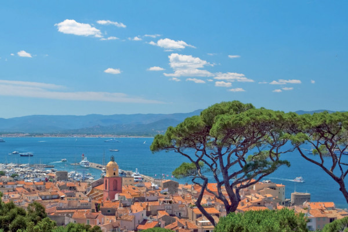 Journée 2 plongées Epave Roche St Tropez (plongeur expert) - Bonjour Fun