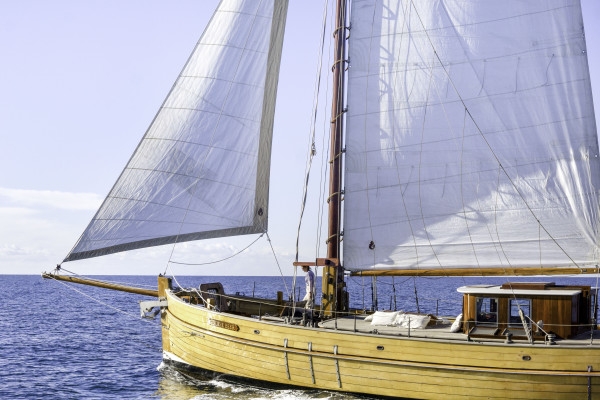 Journée croisière et baignade cœur des Calanques - BB - Bonjour Fun