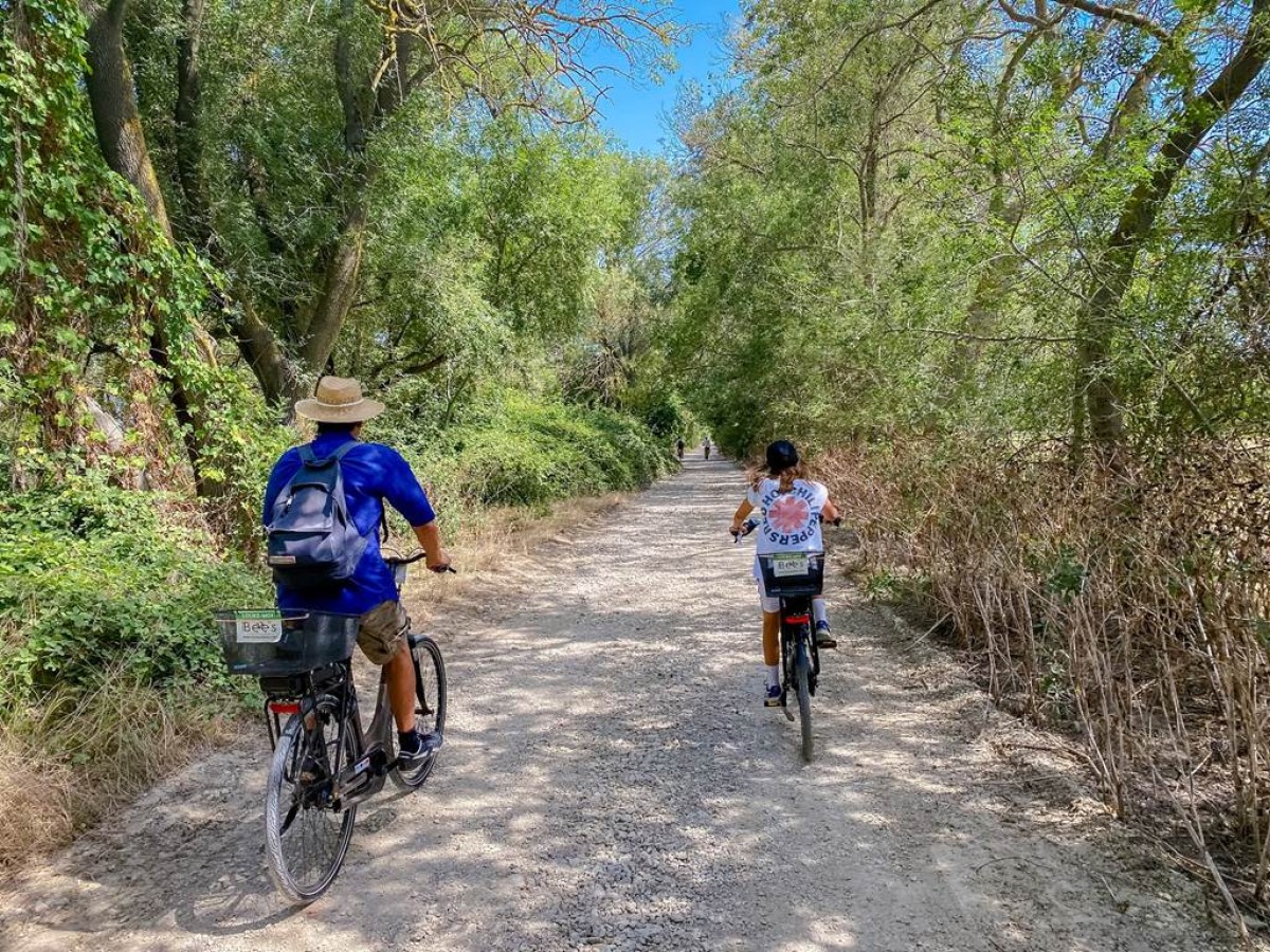 Journée - Day - Bonjour Fun