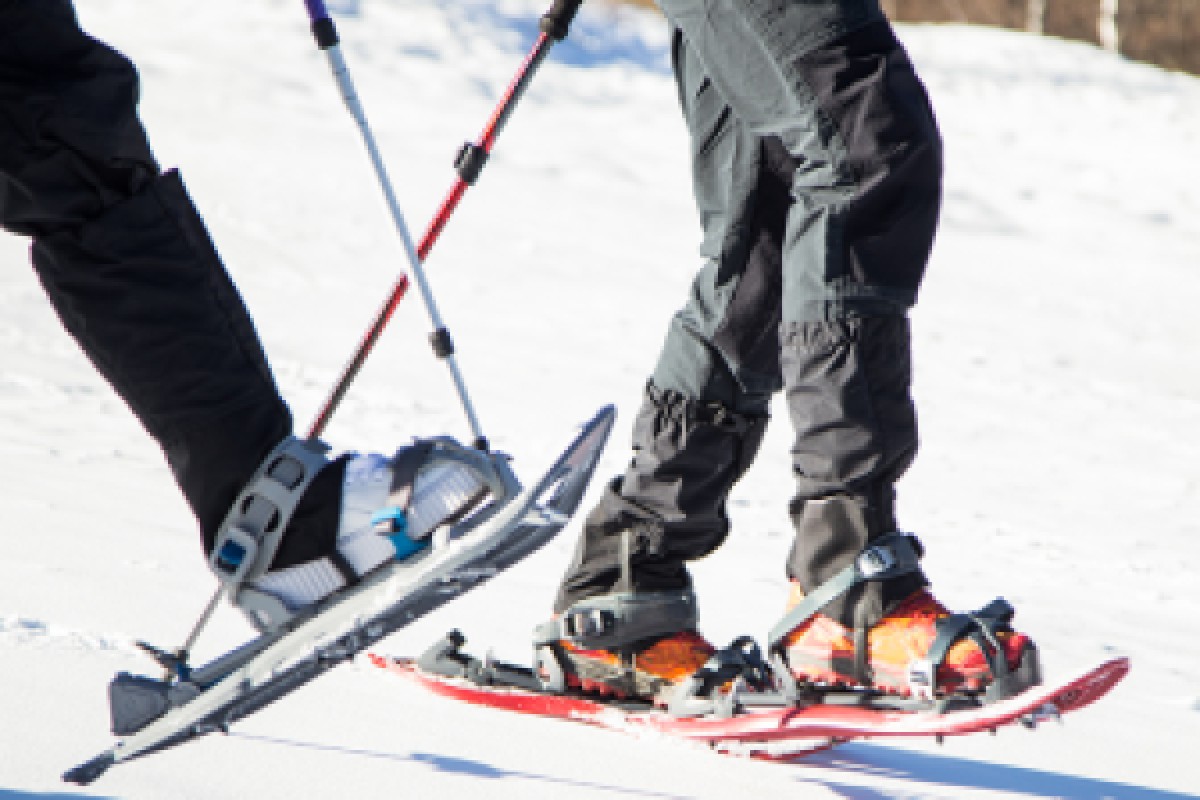 Journée en raquettes à neige au Feldberg - Bonjour Fun