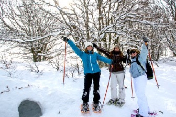 Journée en raquettes à neige et dîner en auberge - Bonjour Fun