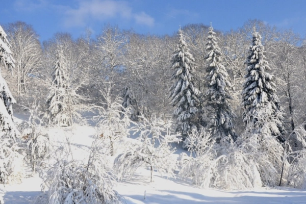 Journée en raquettes à neige privative au Ballon Alsace - Bonjour Fun