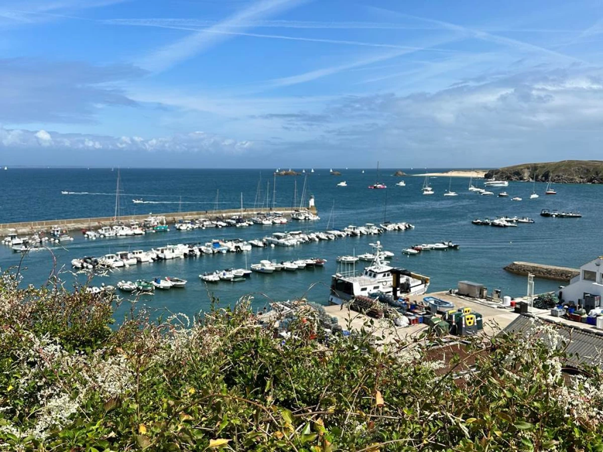 Journée golfe du Morbihan + Houat - Yacht - Bonjour Fun
