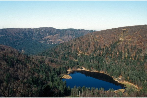 Journée raquettes à neige au Rothenbakopf - Bonjour Fun