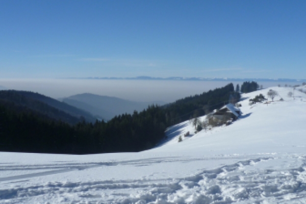 Journée raquettes à neige dans les vosges - Bonjour Fun